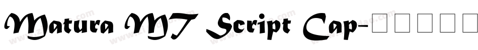 Matura MT Script Cap字体转换